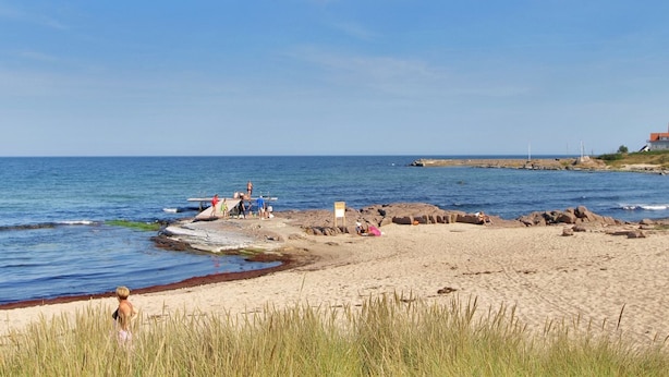 Strand