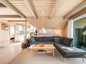 Televisión, chimenea y reproductor de DVD 