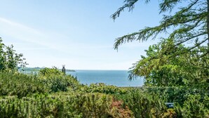 Un paysage côtier avec un premier plan herbeux, une végétation dense et une vue dégagée sur la mer.