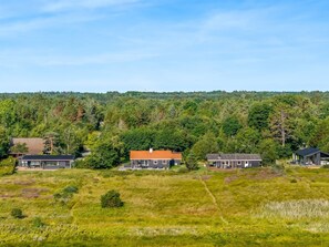 A residential area with modern houses surrounded by dense forest.