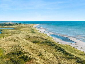 Een kustlandschap met een zandstrand, begroeide duinen en een rustige zee.