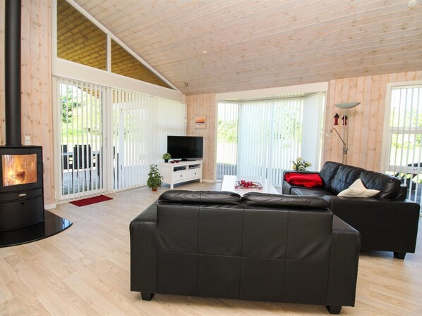 Fernseher, Kamin, DVD-Player