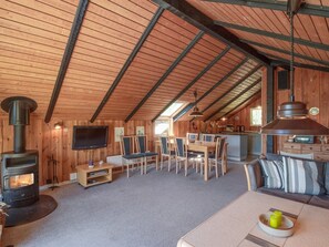 Televisor i llar de foc 