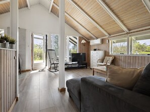 TV, fireplace, DVD player