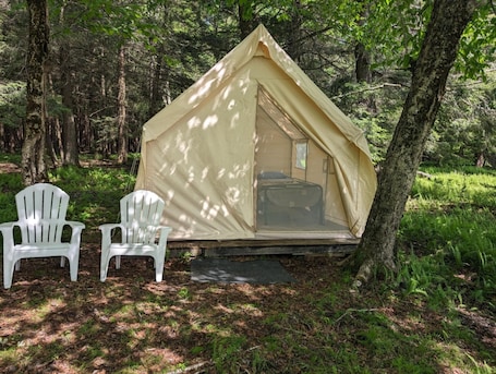 Property grounds. Peaceful Woods Glamping Tent