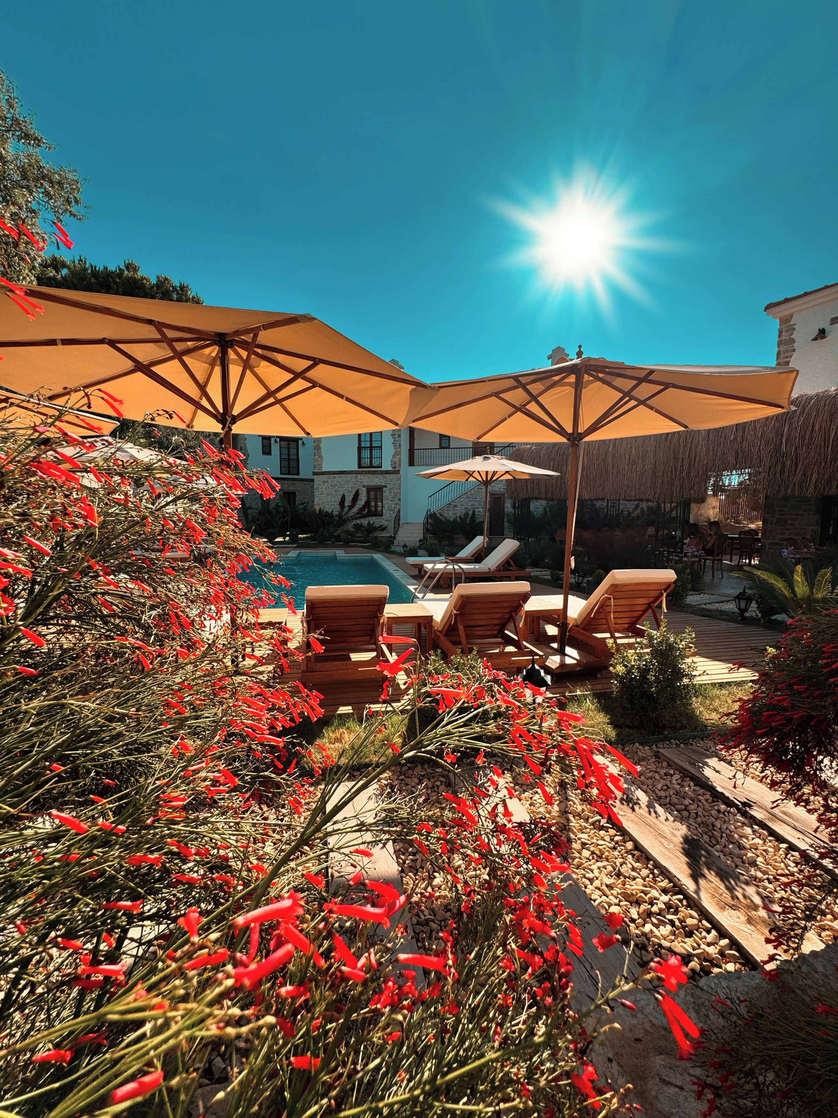 A poolside area with lounge chairs and umbrellas, surrounded by red flowers and a clear blue sky.