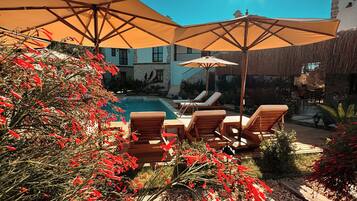 A poolside area with lounge chairs and umbrellas, surrounded by red flowers and a clear blue sky.