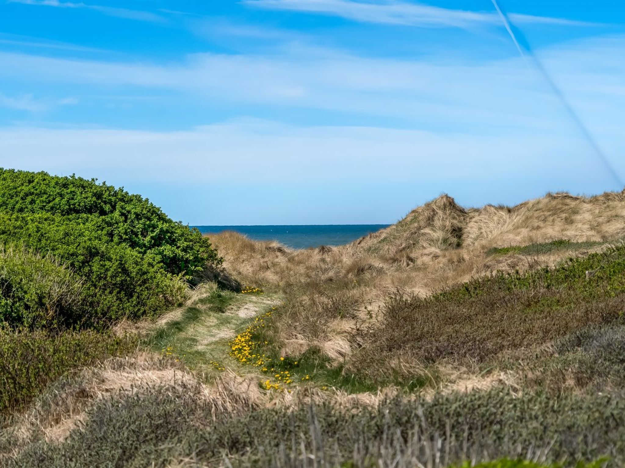 Ett kustlandskap med sanddyner, en klar himmel och en tydlig stig som leder mot havet.