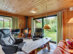 Fernseher, Kamin, DVD-Player