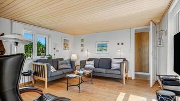 TV, caminetto, lettore DVD