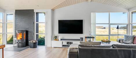 TV, fireplace, DVD player