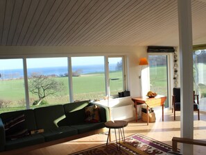 Télévision, cheminée, lecteur de DVD