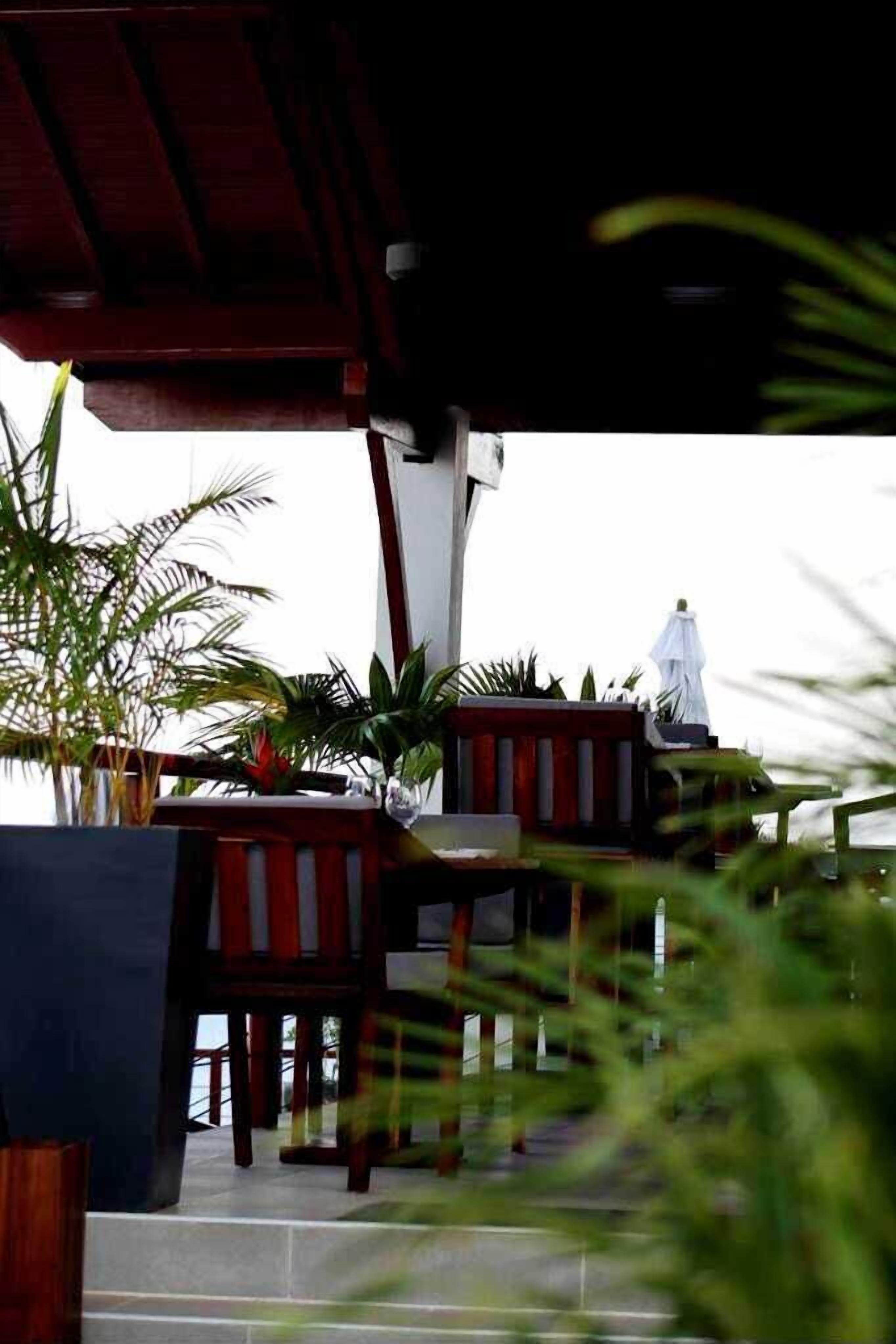 Zona d'estar a l'exterior amb taules i cadires de fusta, envoltada de plantes en testos i un parasol blanc.