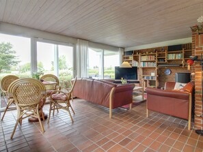 TV, fireplace, DVD player