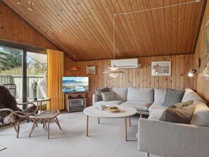 TV, fireplace, DVD player