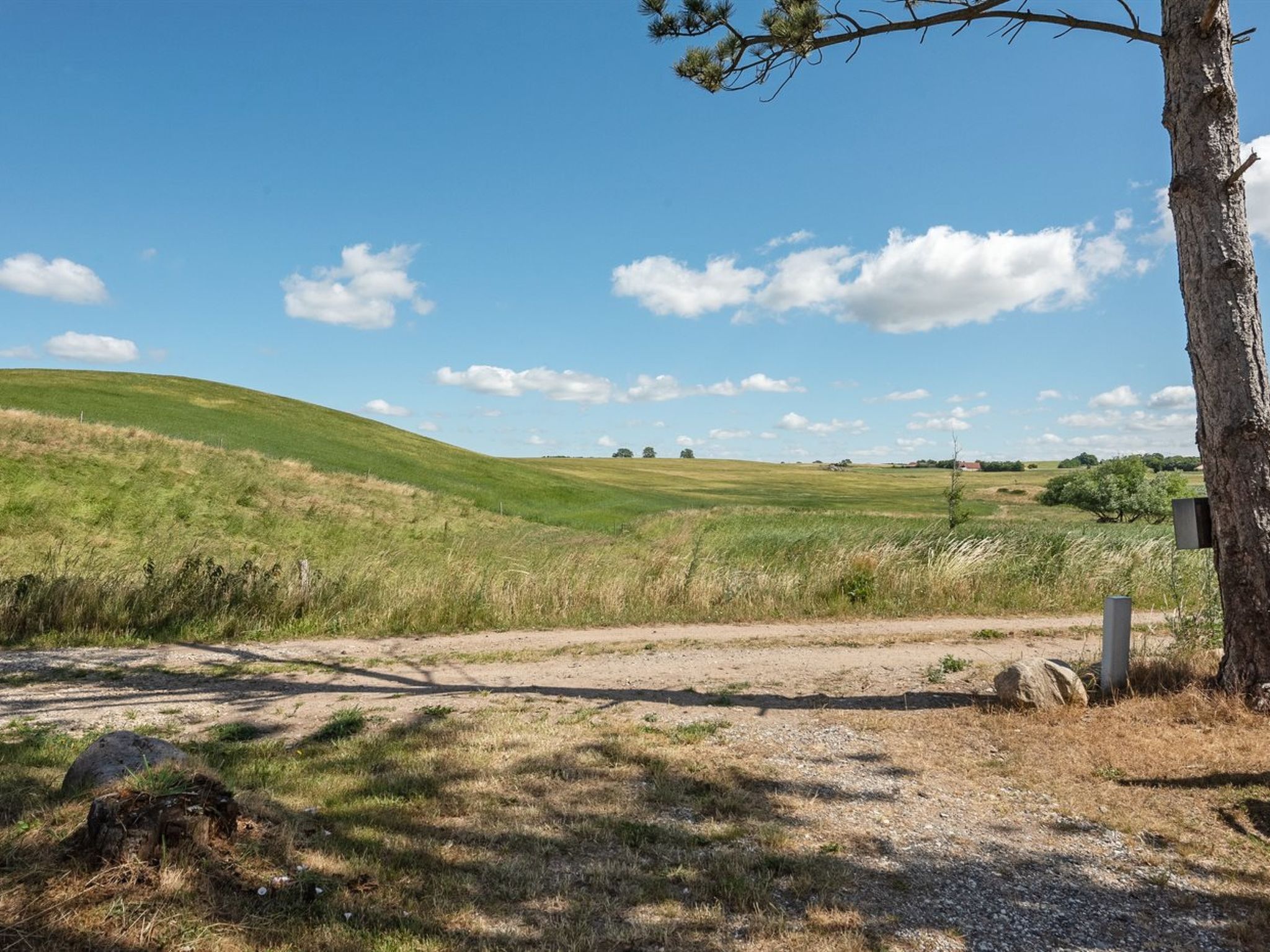 A rural landscape with a dirt path, grassy fields, and a tree.