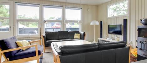 TV, peis og DVD-spiller