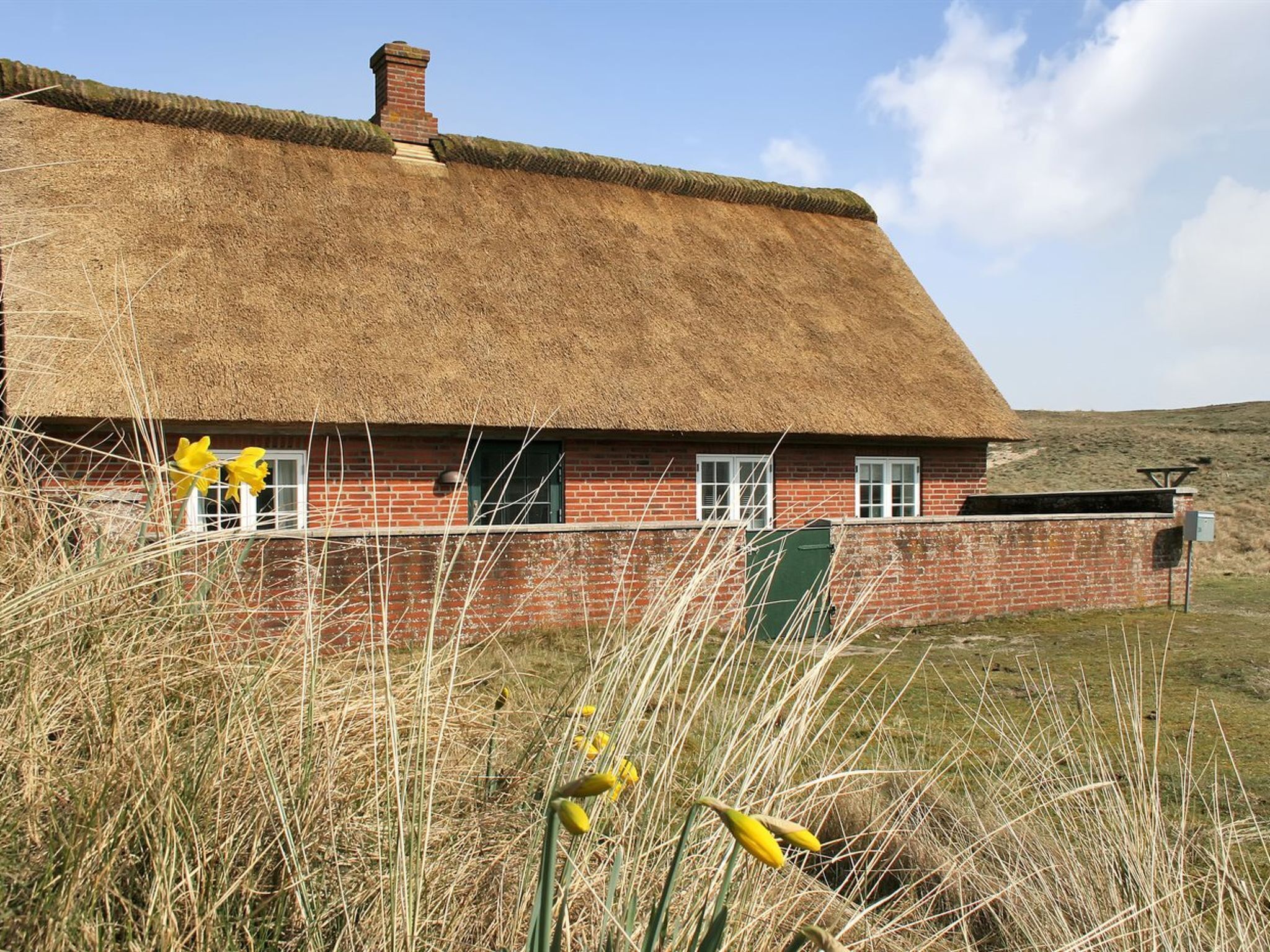 Een traditioneel rieten huis met een bakstenen gevel, omringd door hoge grassen en narcissen.