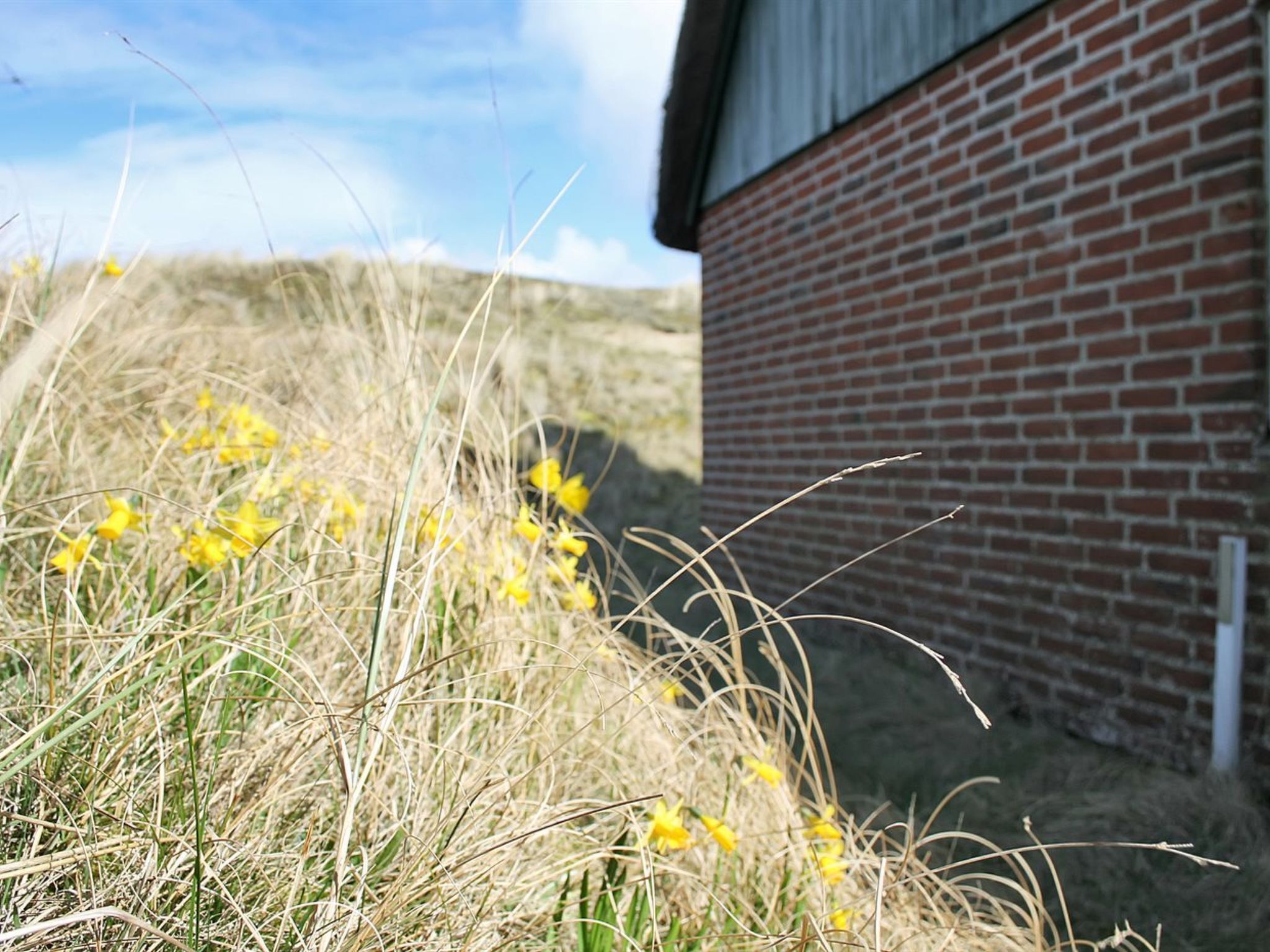 Um edifício de tijolos com telhado inclinado, cercado por grama seca e flores amarelas.