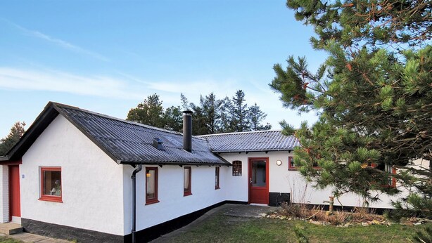 A white building with a red door and windows, a sloped roof, and a grassy yard with pine trees.