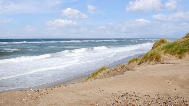 A beach with waves, a clear sky, and dunes.