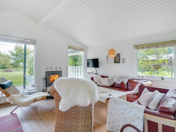 TV, fireplace, DVD player