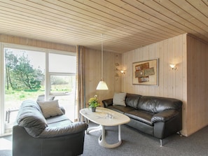 TV, fireplace, DVD player