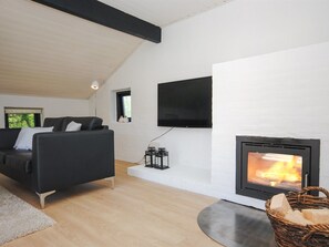 TV, fireplace, DVD player
