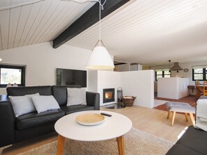 TV, fireplace, DVD player