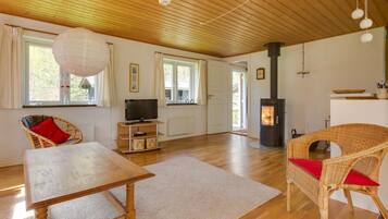 Un salon chaleureux avec un plafond en bois, une cheminée, des meubles en osier et un téléviseur.