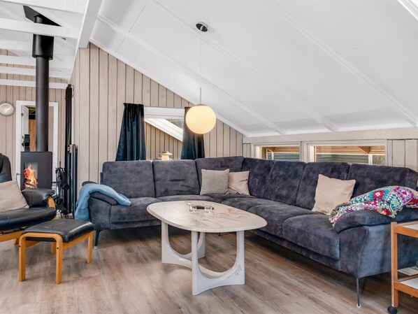 TV, fireplace, DVD player