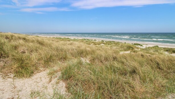 A beach with dunes and a clear sky. - "Ingalise" - 500m from the sea by Interhome (Hals)
