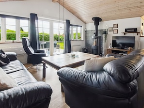 TV, fireplace, DVD player