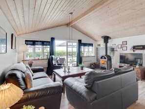 TV, fireplace, DVD player