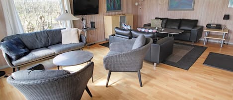 Tv, pejs, dvd-afspiller