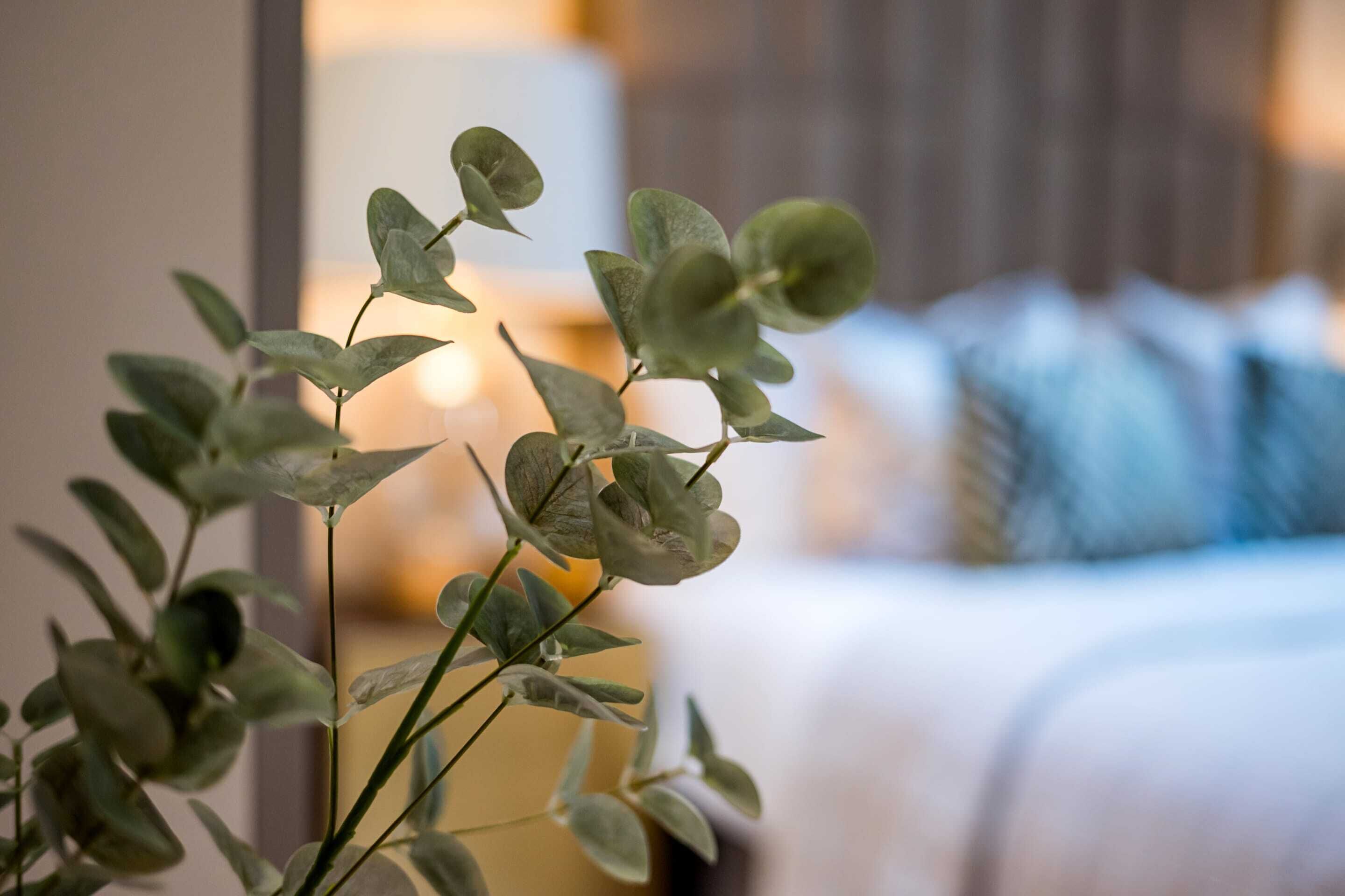 A close-up of a plant with green leaves in a room with a bed and a lamp in the background.