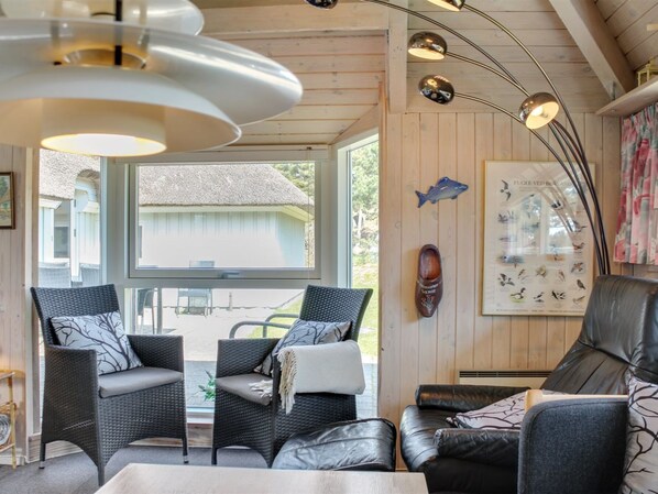 TV, fireplace, DVD player