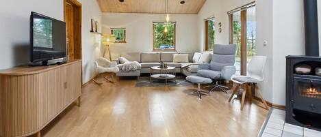 Televisio, takka, DVD-soitin