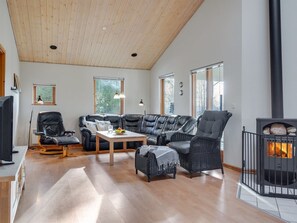 TV, fireplace, DVD player