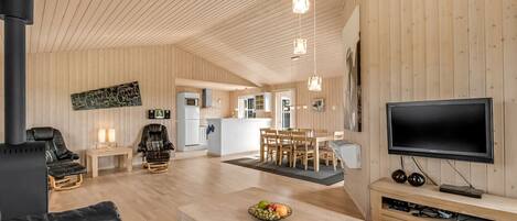 TV, fireplace, DVD player