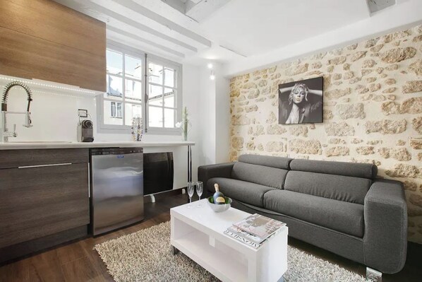 Living area - Studio Opéra /louvres (Paris)