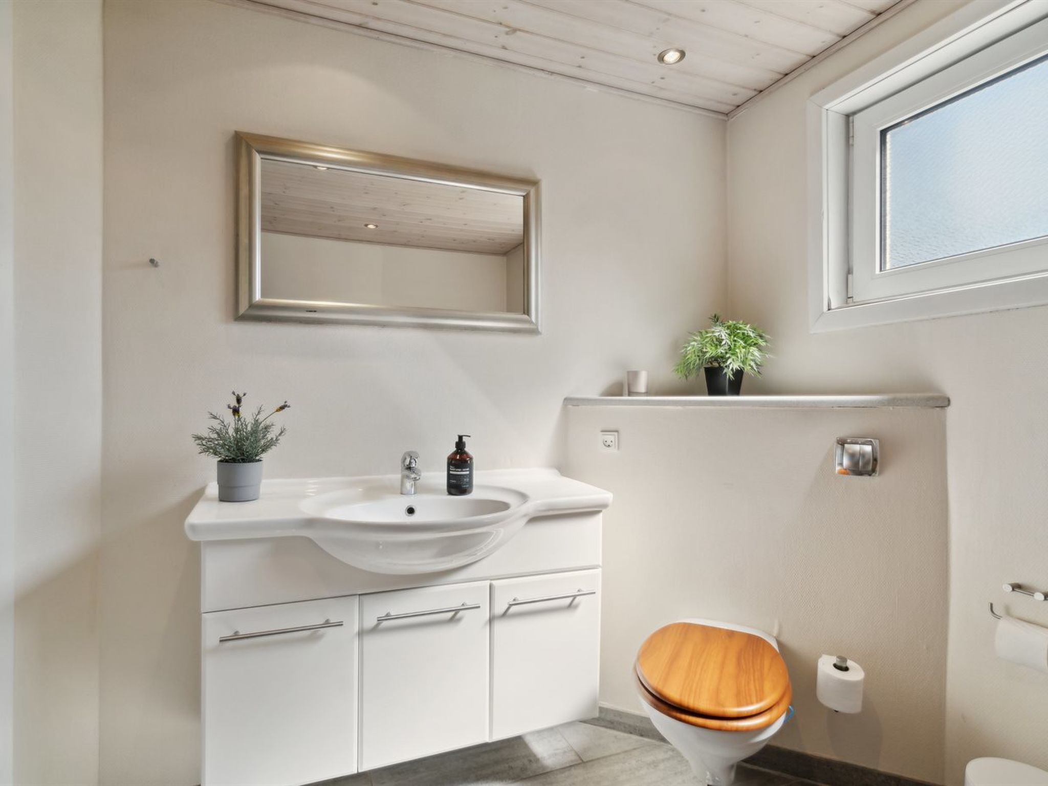 Un bany modern amb un lavabo blanc, un vàter de fusta i una petita planta en test.