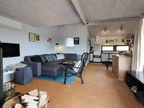 Fernseher, Kamin