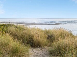 A beach with sand dunes and a clear view of the ocean.