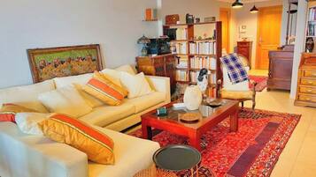 TV connectée, cheminée, lecteur de DVD, livres