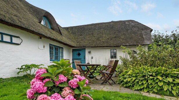 A white cottage with a thatched roof, a blue door, and a garden with pink hydrangeas. - "Clausina" - 600m from the sea by Interhome (Bredebro)