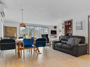 TV, fireplace, DVD player
