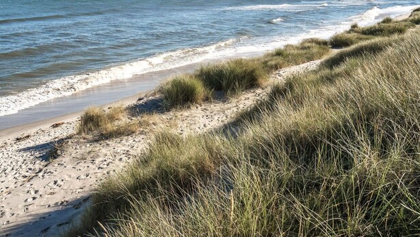 A beach with sand and grass, and the ocean in the background.