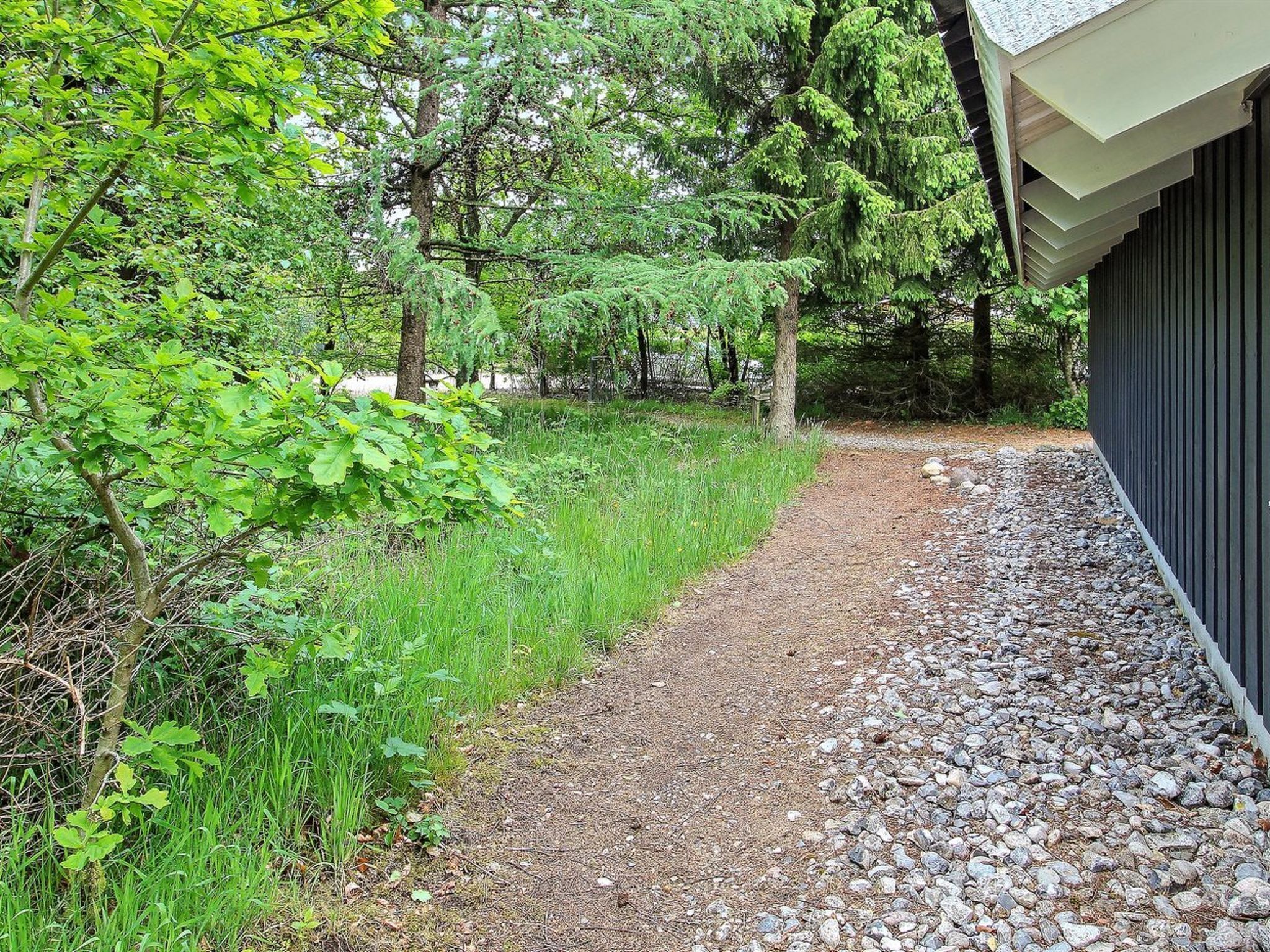 A gravel path leading to a building surrounded by dense greenery and trees.