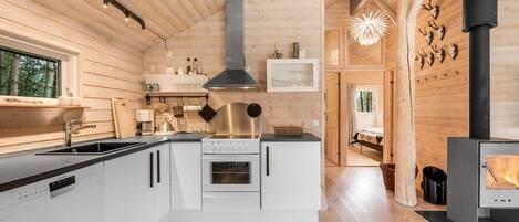 Fridge, oven, dishwasher, cookware/dishes/utensils